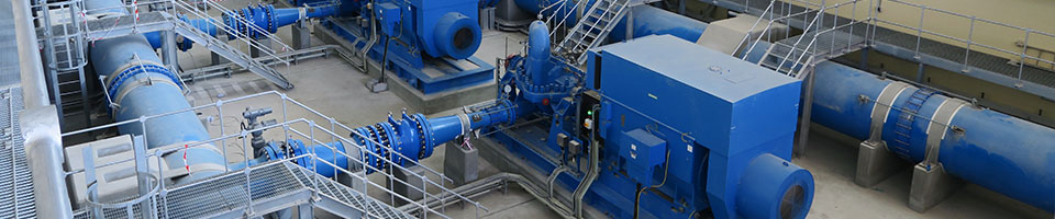 RP ZMS pumps for water station in Oman