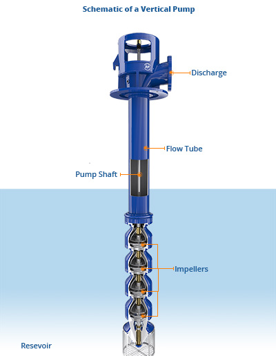 Schematic of a vertical pump