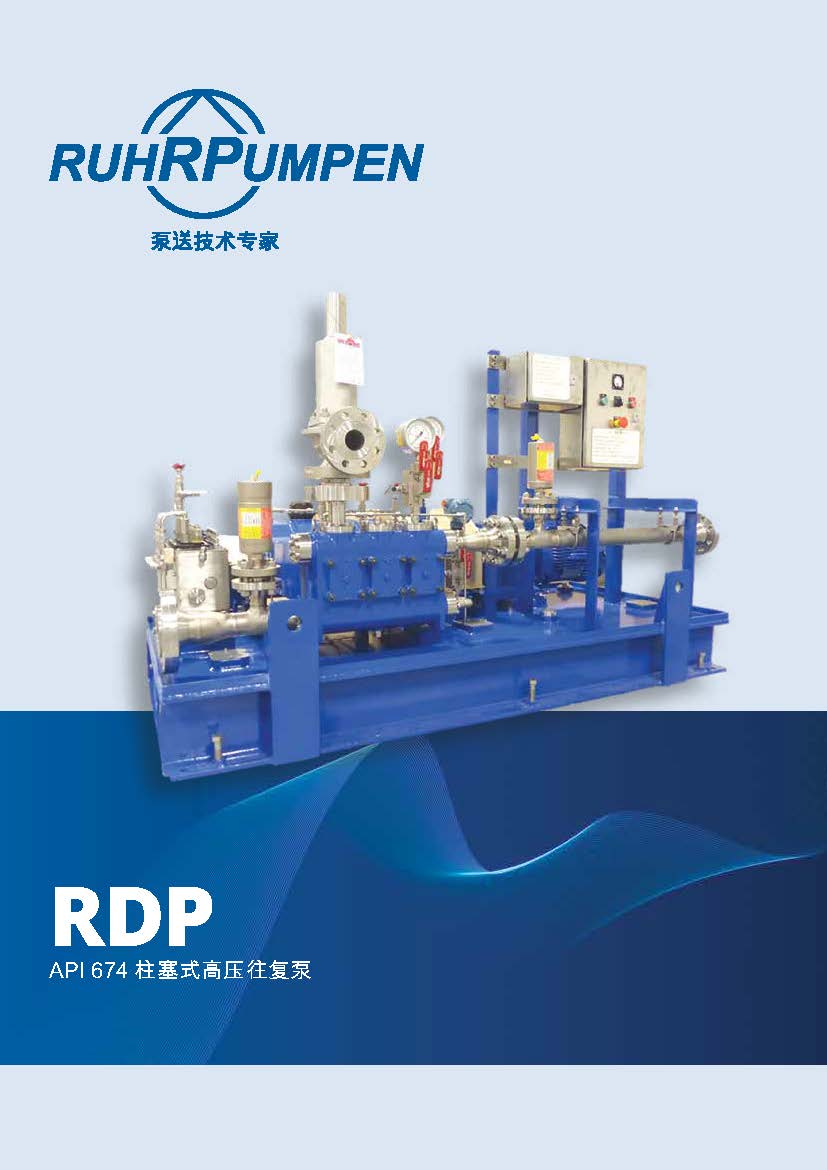 RDP Reciprocating Plunger Pump Brochure - CHINESE