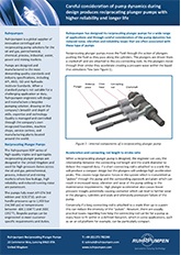 RDP Technical Paper - Pump Dynamics