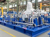 RP - Horizontal Pump in Witten